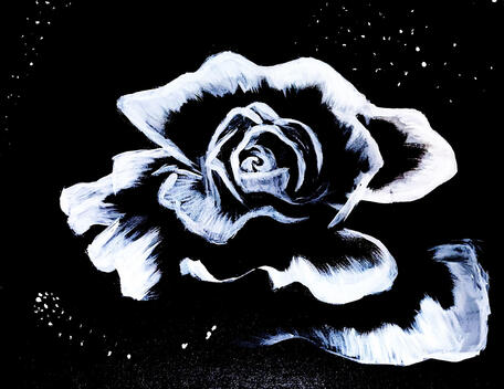 White Rose